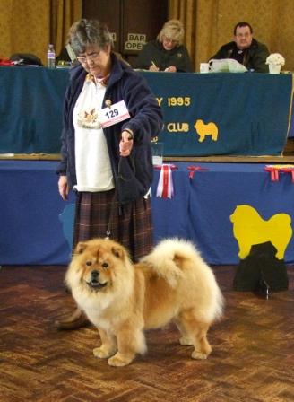 The Chow Chow Club